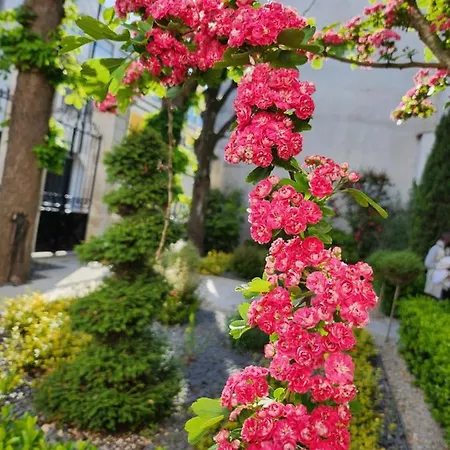 Lägenhet Le Jardin De L'horloge *