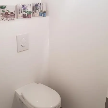 Le Jardin De L'horloge *