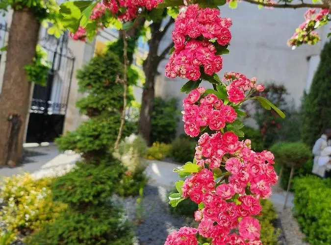 Апартаменты Le Jardin De L'horloge *